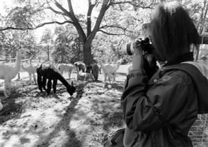 photoclub 4 